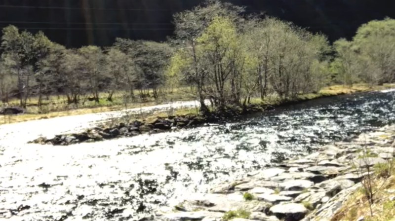 Orgelet som orkester