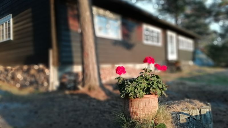 Økumenisk sommergudstjeneste på Solåsen