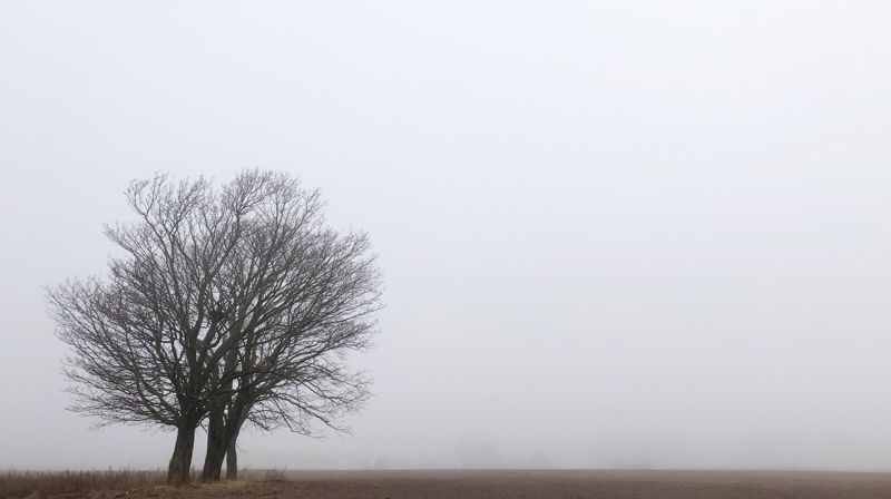 Ny sorggruppe - for deg som har mistet noen, starter 7. mai 2025