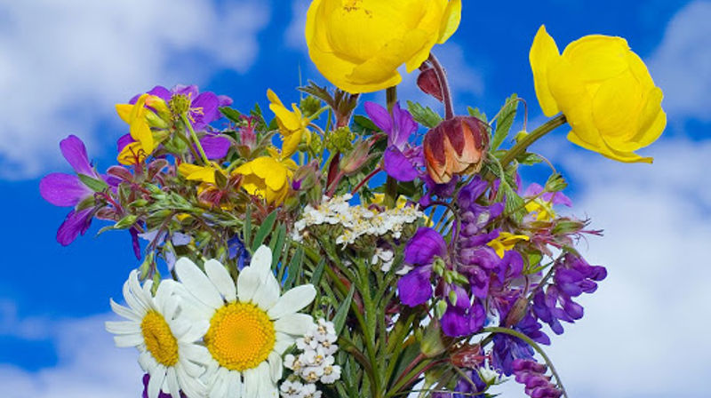 Kyrkjelivet i Vestre Slidre i sommar!