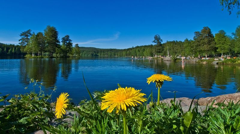 Gudstenester i sommer