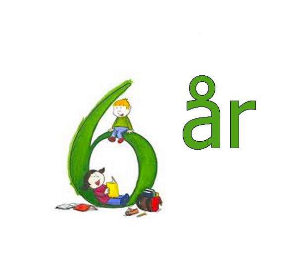 6 år: 6-årsbok