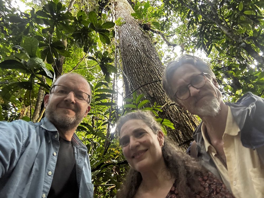 Tjelle, Beck og Kjønstad.