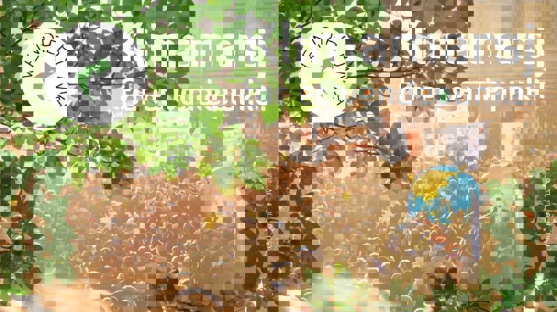 Foto: Monica Løvdahl