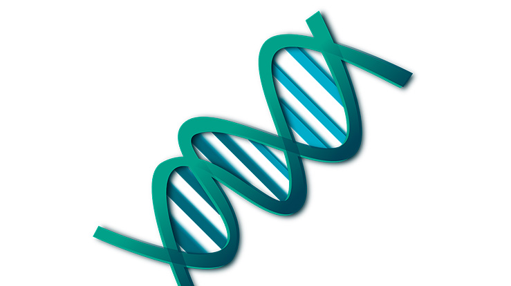 Begrepsbruken for å beskrive genteknologi i offentlig debatt har endret seg fra genmanipulering til genredigering.