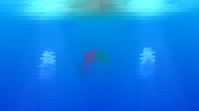 Plast i havet - ressurser til Skaperverkets dag