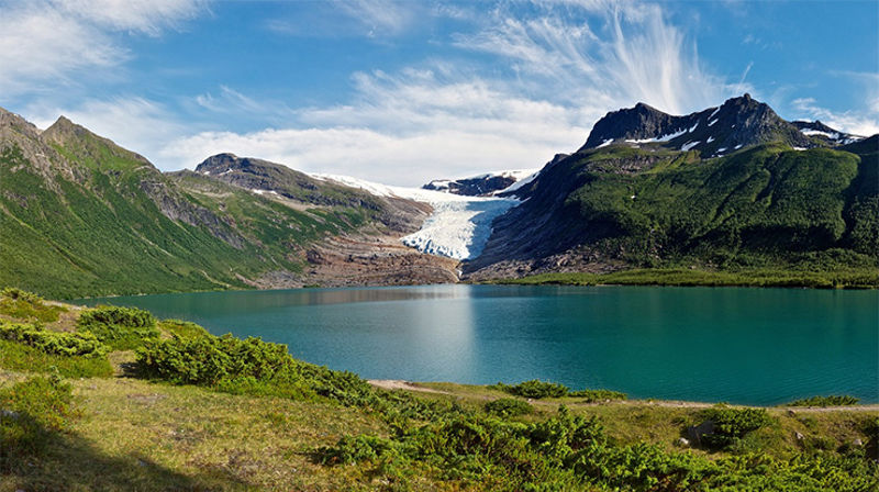 Miljø, forbruk og rettferdighet