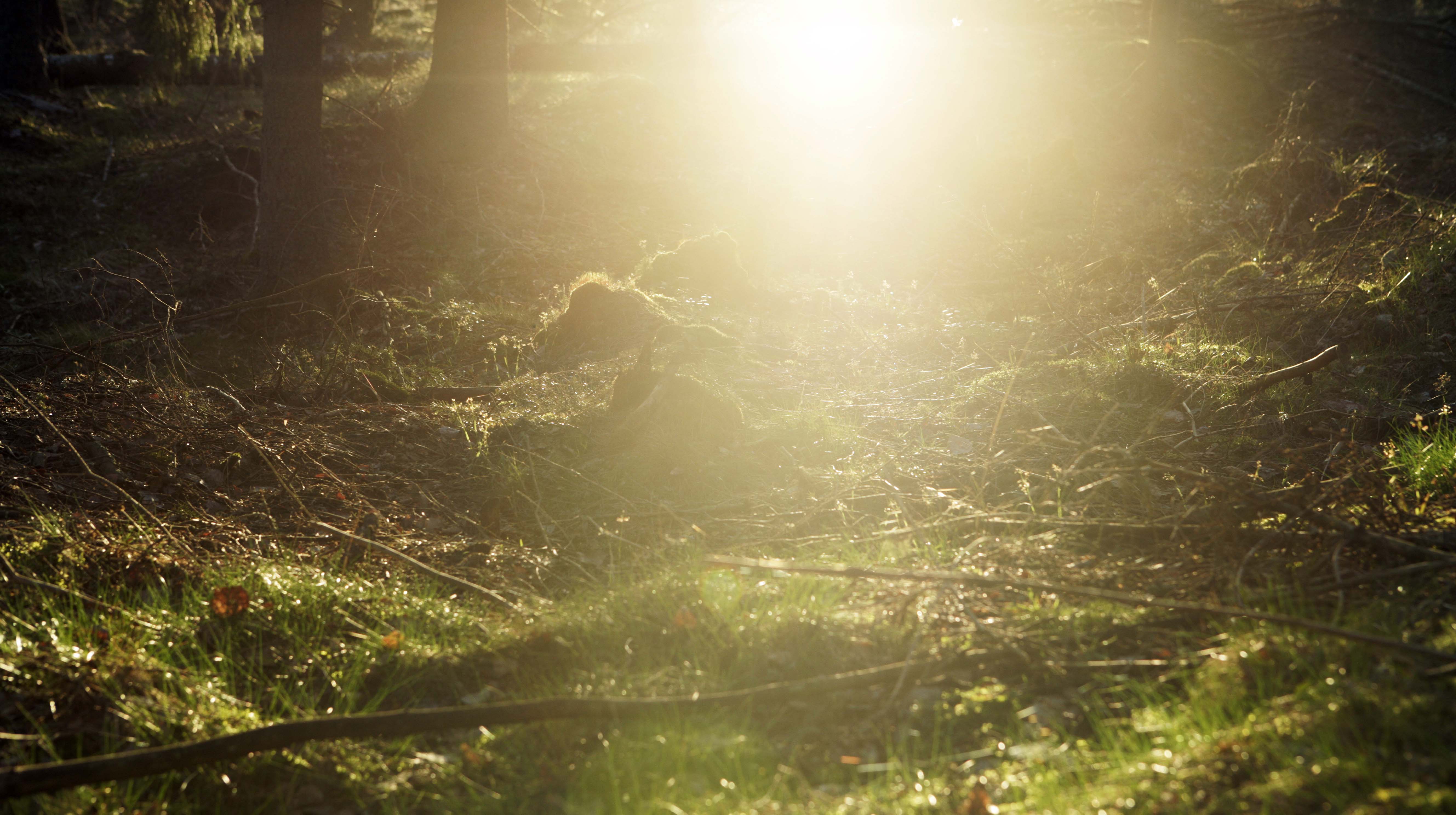 Foto: NTB Scanpix, Per Kristiansen