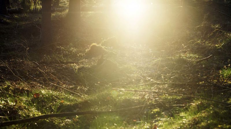 Foto: NTB Scanpix, Per Kristiansen