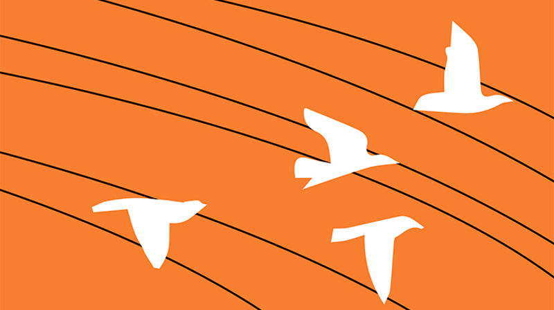 Rettferdighet i verden