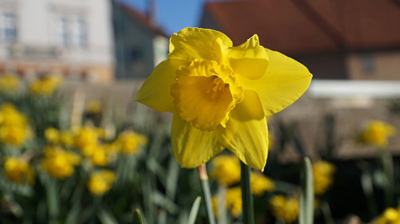 Digitale andakter i påsken