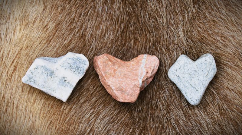 Govva: Sámi girkoráđđi