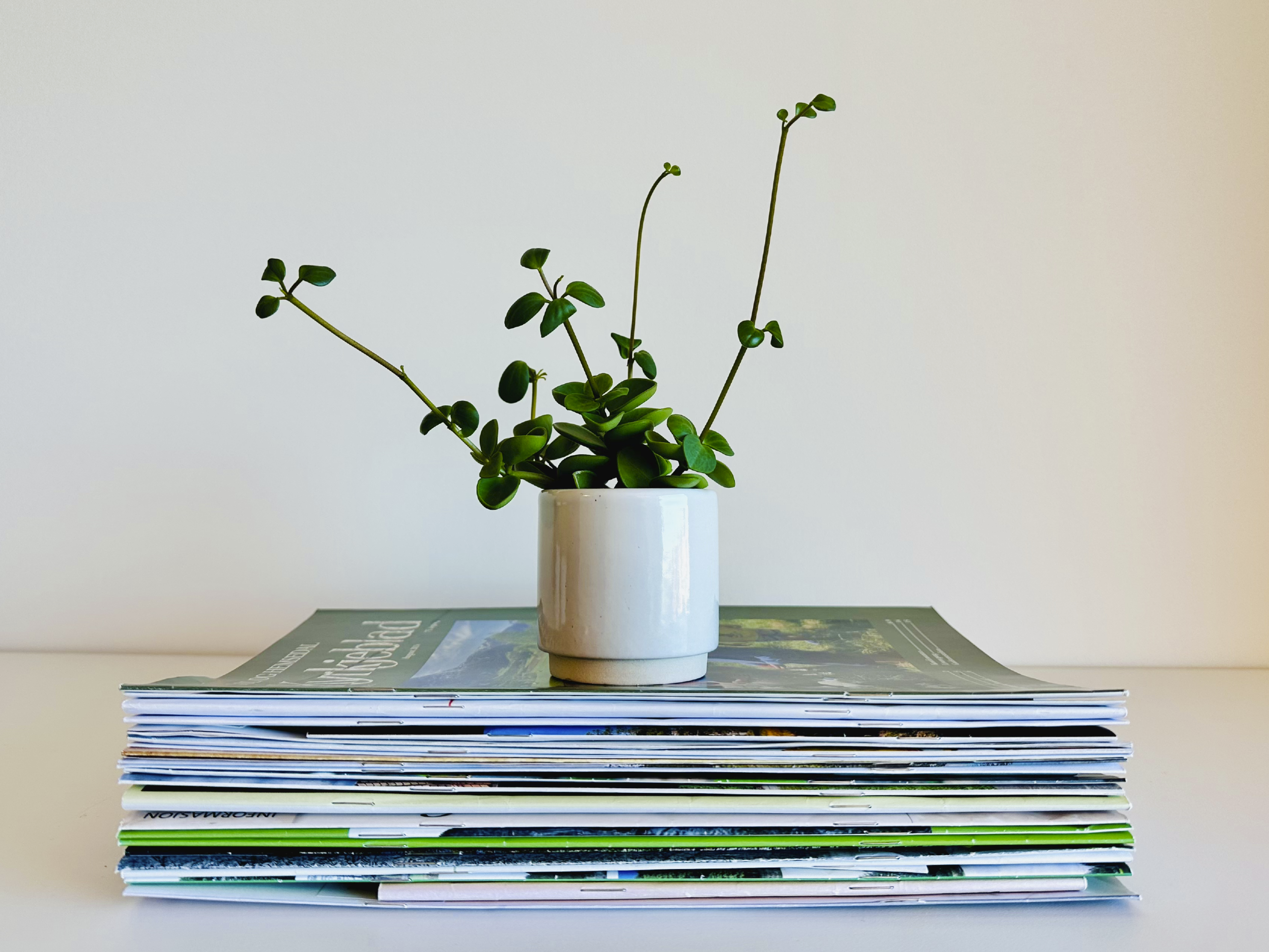 Menighetsblad åpner rom for tro, møter mennesker der livet leves og gjør kirken til noe mer for flere. Foto: Torill Landaasen