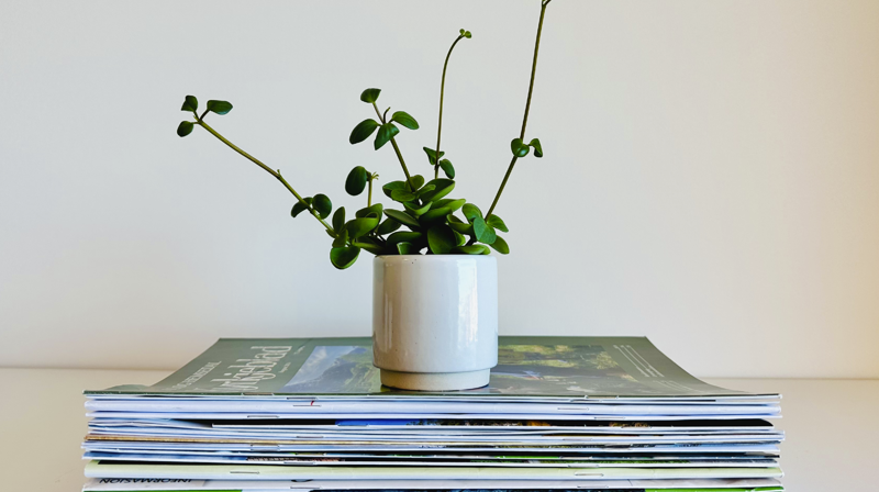 Menighetsblad åpner rom for tro, møter mennesker der livet leves og gjør kirken til noe mer for flere. Foto: Torill Landaasen